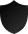 Shield icon